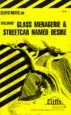 Audiobook Notes on Williams' 'Glass Menagerie' and 'Streetcar Named Desire' author James L. Roberts
