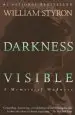 Audiobook Darkness Visible: A Memoir of Madness author William Styron