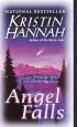 Audiobook Angel Falls author Kristin Hannah