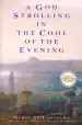 Audiobook A god Strolling in the Cool of the Evening author Mario De Carvalho