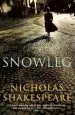 Audiobook Snowleg author Nicholas Shakespeare