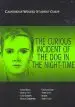 Audiobook Cambridge Wizard English Student Guides: The Curious Incident of the dog in the Night Time author Richard Mcroberts