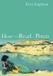 Audiobook How to Read a Poem author Terry Eagleton