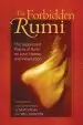 Audiobook Forbidden Rumi: The Suppressed Poems of Rumi on Love Heresy and Intoxication author Jelaluddin Rumi