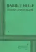 Audiobook Rabbit Hole author David Lindsay Abaire