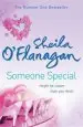 Audiobook Someone Special author Sheila O'Flanagan