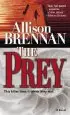 Audiobook The Prey author Allison Brennan