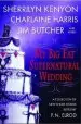 Audiobook My big fat Supernatural Wedding author P. N. Elrod