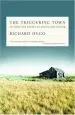 Audiobook The Triggering Town: Lectures and Essays on Poetry and Writing author Richard Hugo