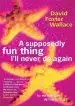 Audiobook A Supposedly fun Thing I'Ll Never do Again author David Foster Wallace