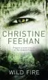 Audiobook Wild Fire: Number 4 in Series author Christine Feehan