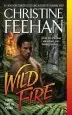 Audiobook Wild Fire author Christine Feehan