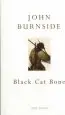 Audiobook Black cat Bone author John Burnside