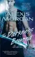 Audiobook The Darkness Beyond: A Paladin Novel author Alexis Morgan