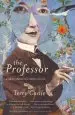 Audiobook The Professor: A Sentimental Education author Professor Of English Terry Castle