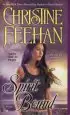 Audiobook Spirit Bound author Christine Feehan