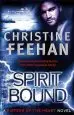 Audiobook Spirit Bound: Number 2 in Series author Christine Feehan