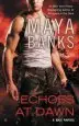 Audiobook Echoes at Dawn: A kgi Novel author Maya Banks