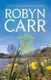 Audiobook Blue Skies author Robyn Carr