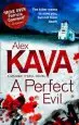 Audiobook A Perfect Evil author Alex Kava