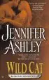 Audiobook Wild cat: A Shifters Unbound Novel author Jennifer Ashley
