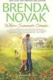 Audiobook When Summer Comes author Brenda Novak