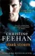 Audiobook Dark Storm: Number 23 in Series author Christine Feehan