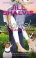 Audiobook Animal Magnetism author Jill Shalvis
