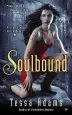 Audiobook Soulbound: A Lone Star Witch Novel Book 1 author Tessa Adams