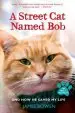 Audiobook A Street cat Named bob and how he Saved my Life author James Bowen
