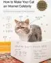 Audiobook How to Make Your cat an Internet Celebrity author Patricia Carlin