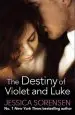 Audiobook The Destiny of Violet and Luke author Jessica Sorensen
