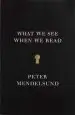Audiobook What we see When we Read author Peter Mendelsund