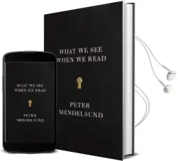 What we see When we Read Audiobook download free by Peter Mendelsund