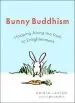 Audiobook Bunny Buddhism: Hopping Along the Path to Enlightenment author Krista Lester