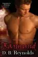 Audiobook Rajmund author D B Reynolds