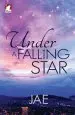 Audiobook Under a Falling Star author Jae