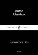 Audiobook Gooseberries author Anton Chekhov