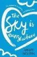 Audiobook The sky is Everywhere author Jandy Nelson