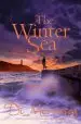 Audiobook The Winter sea author Di Morrissey
