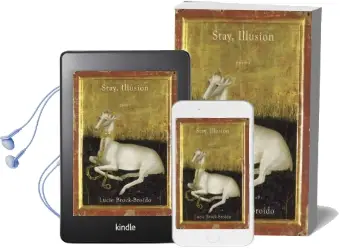 Stay, Illusion Audiobook download free by Lucie Brock Broido