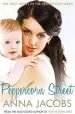 Audiobook Peppercorn Street author Anna Jacobs