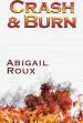 Audiobook Crash & Burn author Abigail Roux