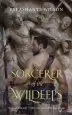 Audiobook The Sorcerer of the Wildeeps author Kai Ashante Wilson