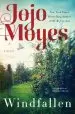 Audiobook Windfallen author Jojo Moyes