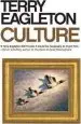 Audiobook Culture author Terry Eagleton