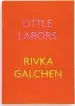 Audiobook Little Labors author Rivka Galchen