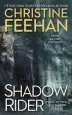 Audiobook Shadow Rider author Christine Feehan