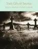 Audiobook Irish Ghost Stories author David Stuart Davies