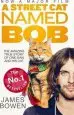 Audiobook A Street cat Named bob: How one man and his cat Found Hope on the Streets author James Bowen